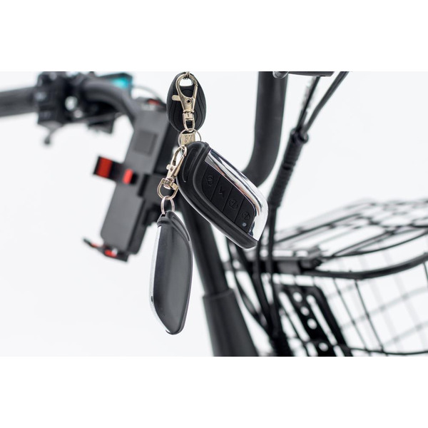 Электровелосипед AVM E-Alfa Fat (черный)