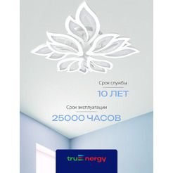 Люстра Truenergy 11193