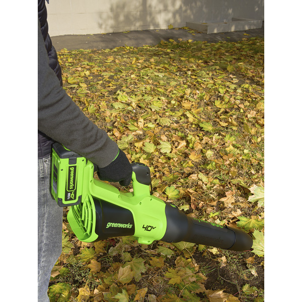 Воздуходувка Greenworks GD40BG3 2408207UB