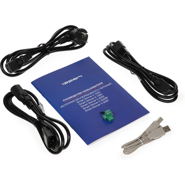 Источник бесперебойного питания IPPON Smart Winner II 3000