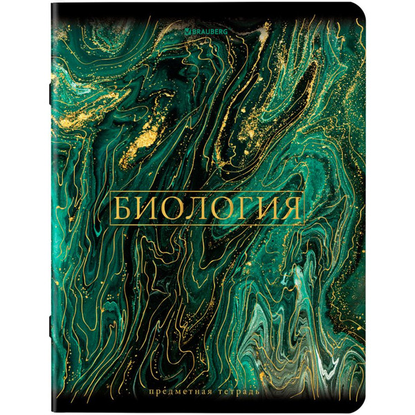 Тетради предметные BRAUBERG 404326 (КОМПЛЕКТ 12 ПРЕДМЕТОВ, 48л, SoftTouch, фольга)