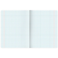 Тетради предметные BRAUBERG 405164 (КОМПЛЕКТ 12 ПРЕДМЕТОВ, 48л, обложка картон)