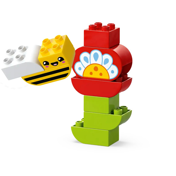 Конструктор Lego Duplo Креативный цветочный сад 10444