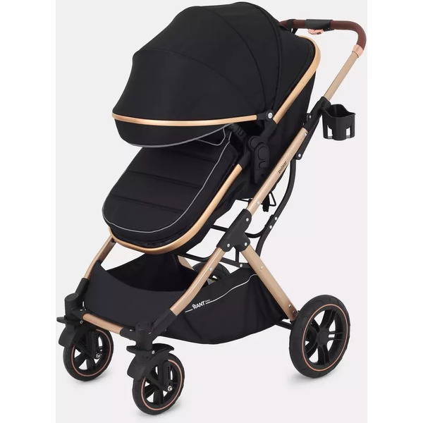 Детская универсальная коляска Rant Basic Pulsar Gold 2 в 1 RA160 (черный)