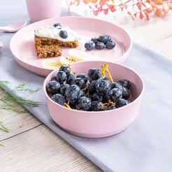 Миски для кормления Reer Growing 22084 (2 шт, розовый)