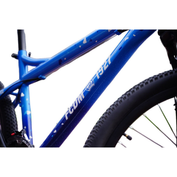 Велосипед Polar Everest FS Disk (DINAMO MINSK) В262S10220 (синий) 22