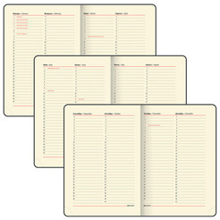 Ежедневник BRAUBERG недатированный Iguana 114456 (лиловый)