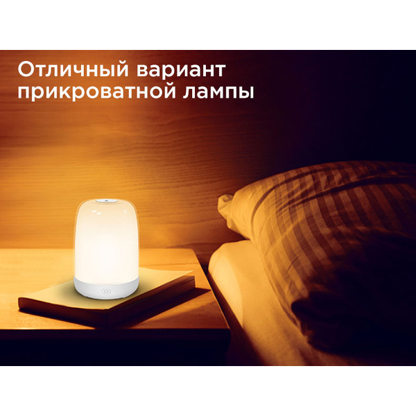 Ночник Evolution A100