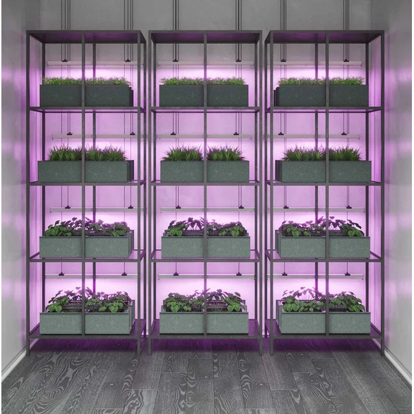 Лампа для растений Gauss Fito 8W 220lm 175-265V IP20 130411908