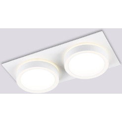 Светильник Ambrella TN52423/2 WH/FR (белый/белый матовый)