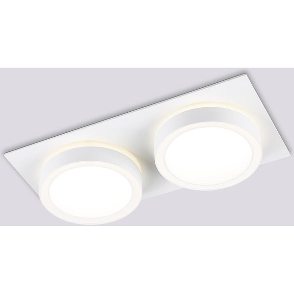 Светильник Ambrella TN52423/2 WH/FR (белый/белый матовый)