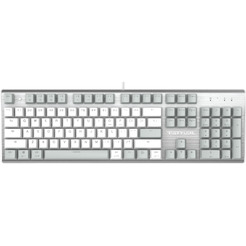 Клавиатура A4Tech Fstyler FS100 Neon (серебристый/серый)