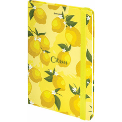 Блокнот BRAUBERG 113727