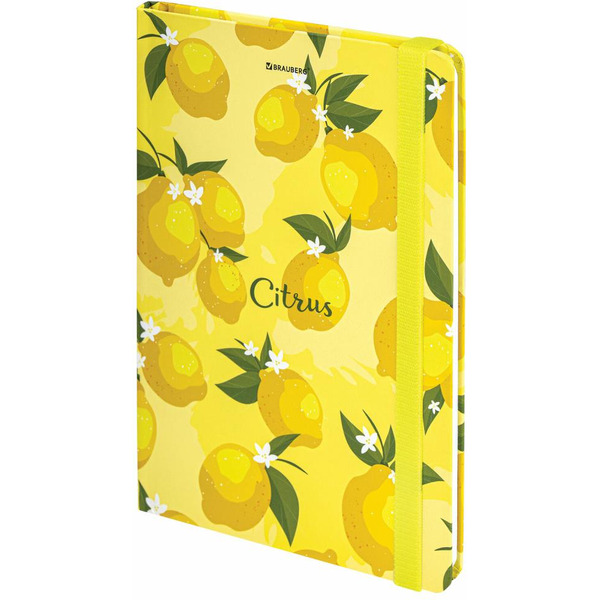 Блокнот BRAUBERG 113727