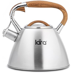 Чайник LARA LR00-66 (матовый)