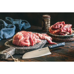 Кухонный нож Samura Harakiri SHR-0095B