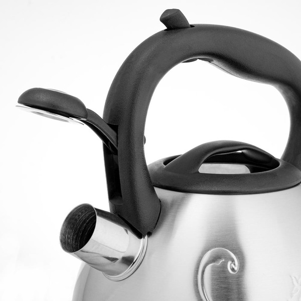 Чайник LARA LR00-56