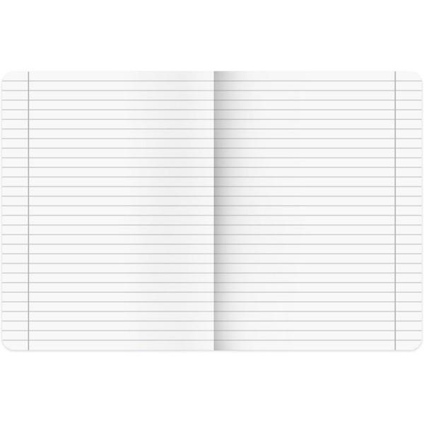 Тетради предметные BRAUBERG 405181 (КОМПЛЕКТ 12 ПРЕДМЕТОВ, 48л, SoftTouch)