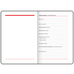 Ежедневник BRAUBERG недатированный Magnetic X 113281 (красный)