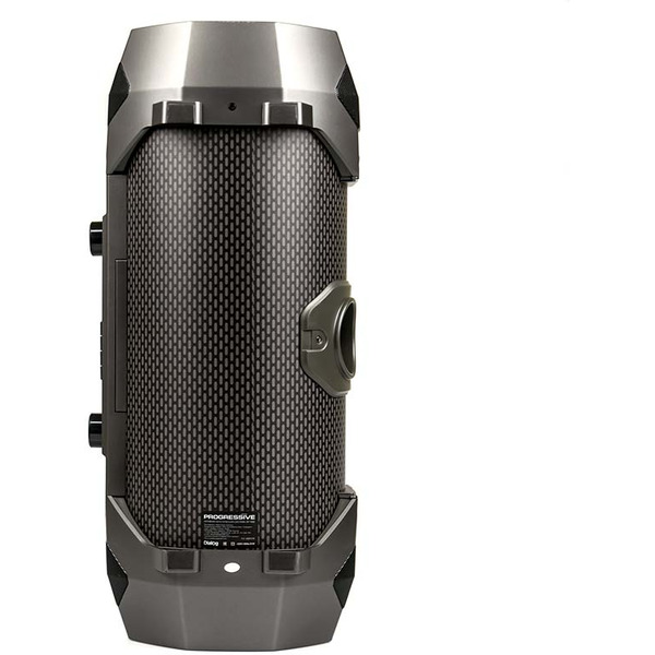 Портативная акустическая система DIALOG AP-1050