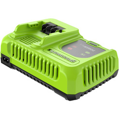 Зарядное устройство Greenworks G24C8 2958707 (24В)