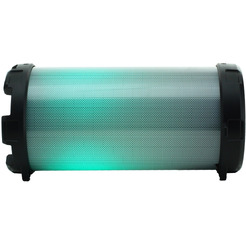 Портативная аудиосистема Econ EPS-100