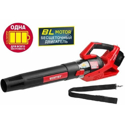 Ручная воздуходувка Wortex BB 2536 D (0333234) без АКБ и ЗУ