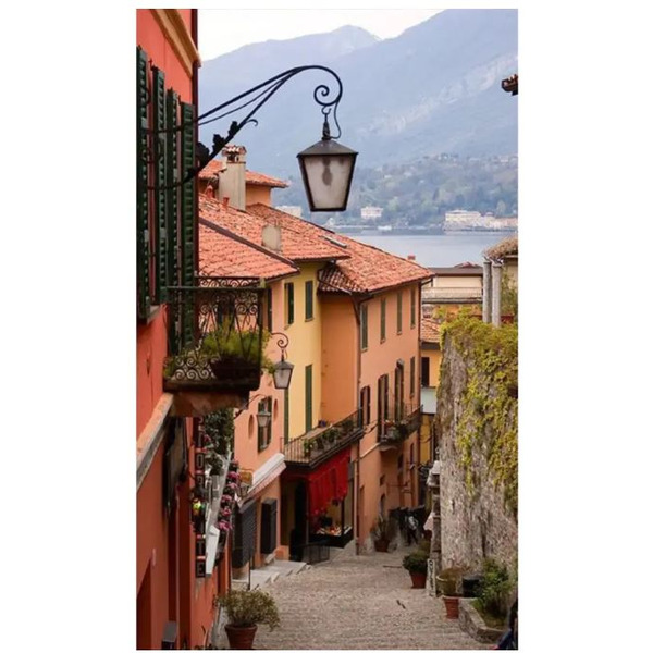 Инфракрасный обогреватель ОАО "БРТЗ" Дыхание тепла 19с426