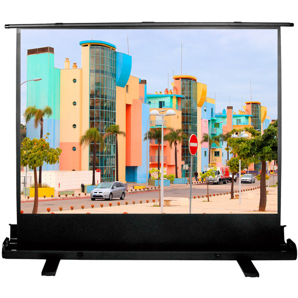 Экран CACTUS FloorExpert CS-PSFLE-160X120