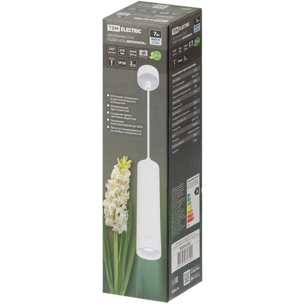 Спот TDM Electric Вероника SQ0356-0422