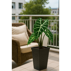 Вазон MultyHome Savannah EU5100614 (сланец)