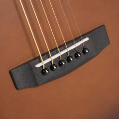 Гитара акустическая Cort Earth-GO-OPBB