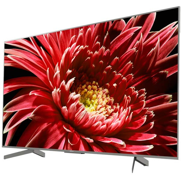 Телевизор SONY KD-55XG8596
