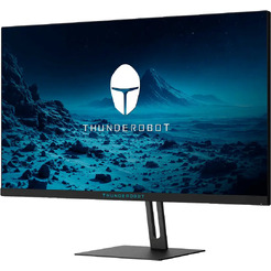 Игровой монитор Thunderobot Black Warrior 25F200