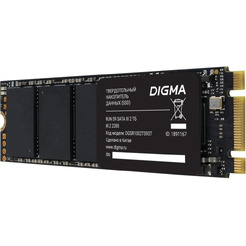 Накопитель SSD Digma DGSR1002TS93T