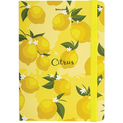 Блокнот BRAUBERG 113727