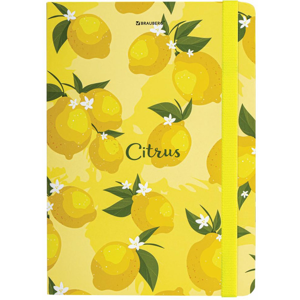 Блокнот BRAUBERG 113727