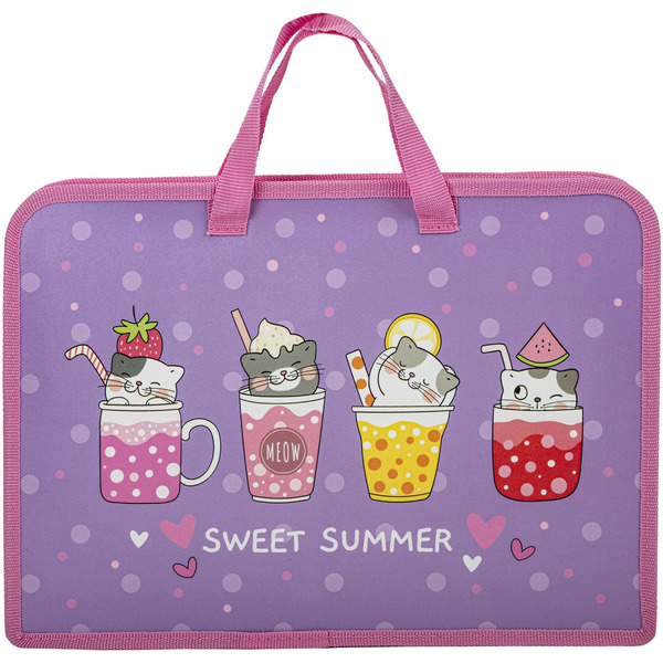 Папка на молнии Юнландия 270947