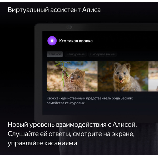 Умная колонка Яндекс Станция Дуо Макс (YNDX-00055BLK) черный