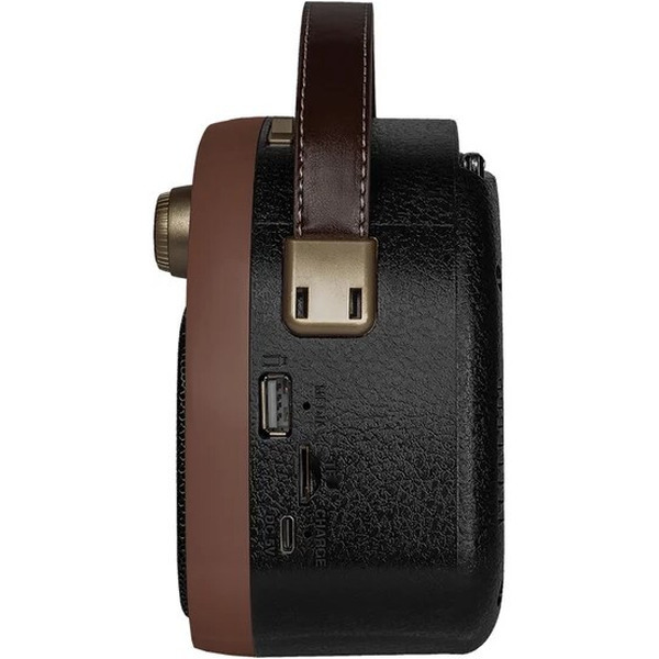 Радиоприемник Ritmix RPR-040 (шоколадный)