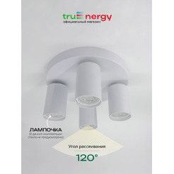Светильник под лампу TRUENERGY MODERN 21493
