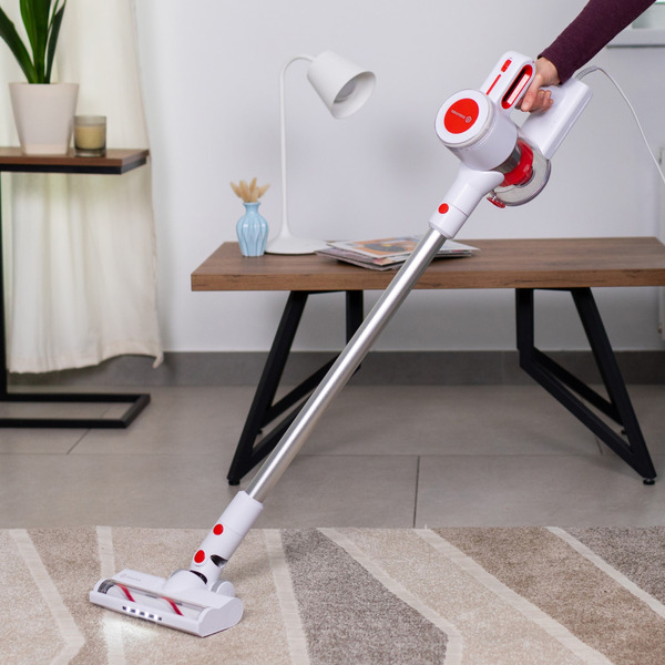 Вертикальный пылесос EVOLUTION LX900