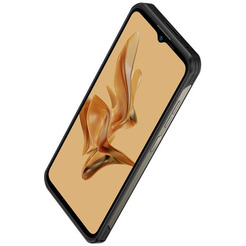 Смартфон Ulefone Armor 17 Pro 8GB/256GB (черный)