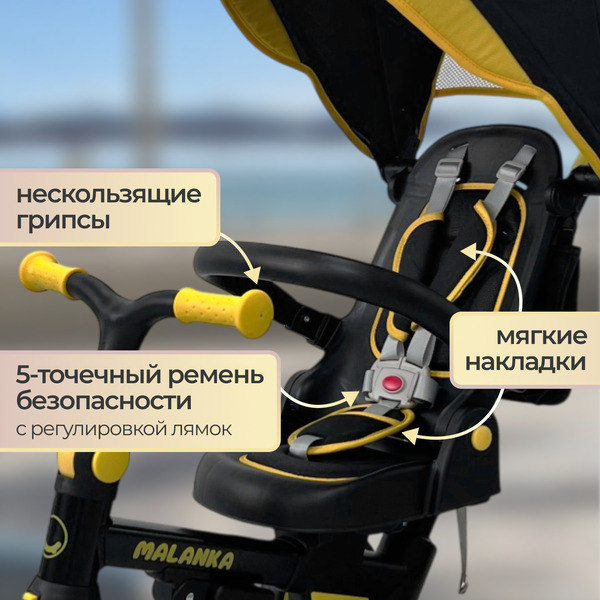 Детский велосипед Bubago Malanka BG 211-3 (черный)