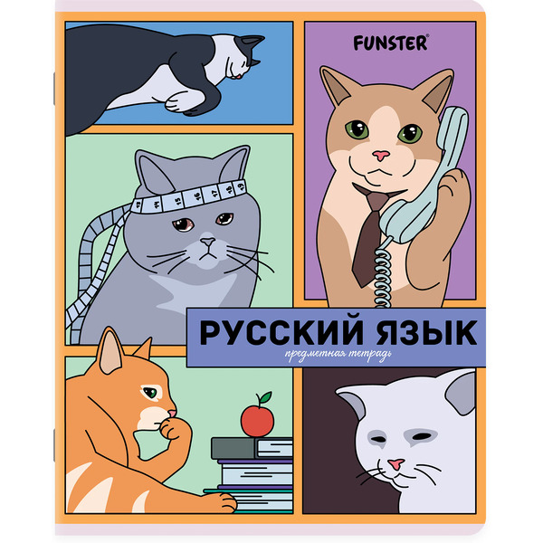 Тетради предметные Funster Мемные коты 405604 (12 шт)