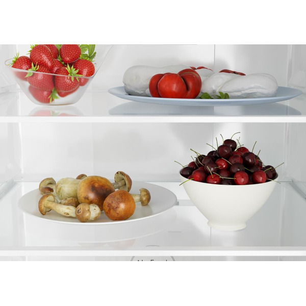 Холодильник Candy CCRN 6200B