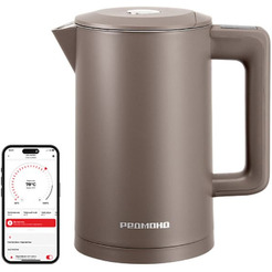 Электрический чайник Redmond SkyKettle KM231S (серо-коричневый)
