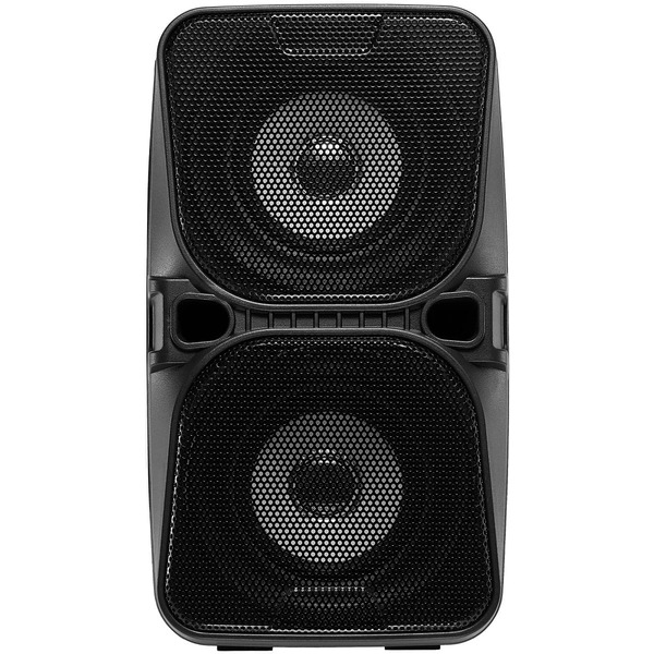 Портативная колонка Digma D-PS1505 (черный)