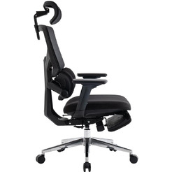 Кресло компьютерное EVOLUTION LumbarPro FR AL