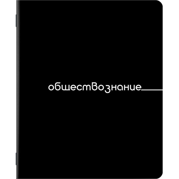 Тетради предметные BRAUBERG 405164 (КОМПЛЕКТ 12 ПРЕДМЕТОВ, 48л, обложка картон)